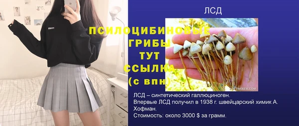 прущая мука Переславль-Залесский