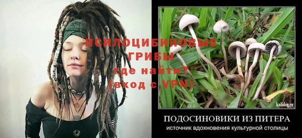 a pvp Аркадак