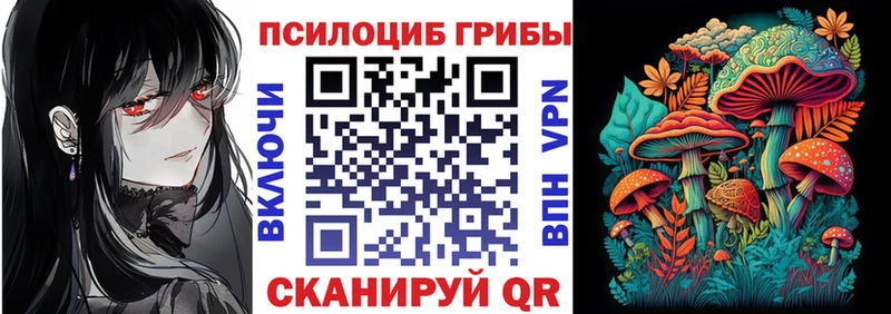 Псилоцибиновые грибы Cubensis  OMG   Аша  цены  